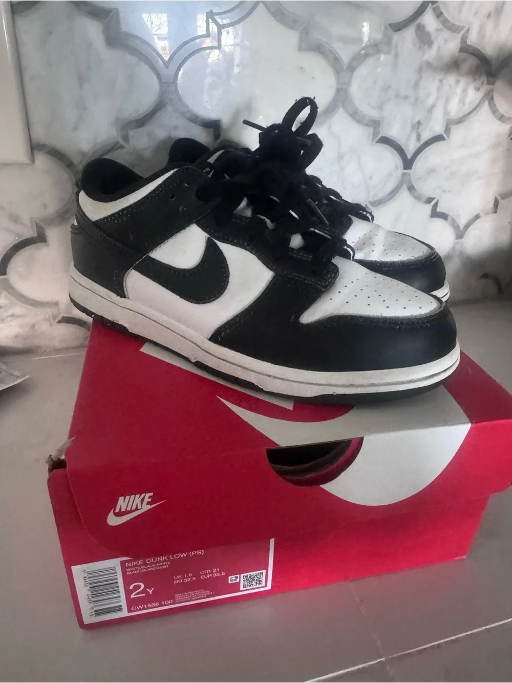 Nike Kids Dunks